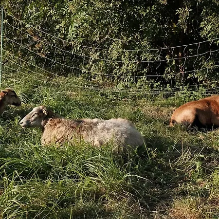 Seefahrer Musik- & Kreativhotel *